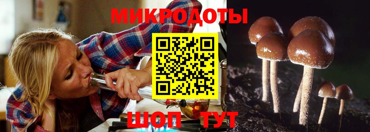 Галлюциногенные грибы Magic Shrooms  купить закладку  Унеча  Вход с VPN 